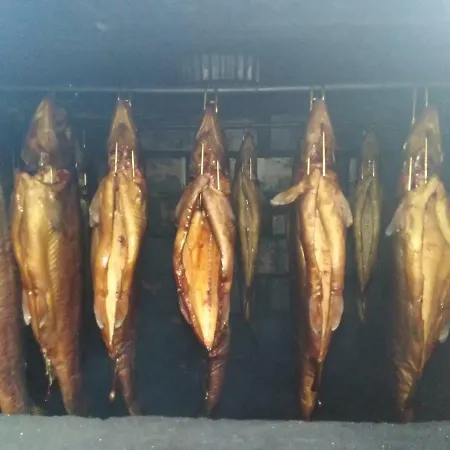 - Mazury 民宿 Wejsuny